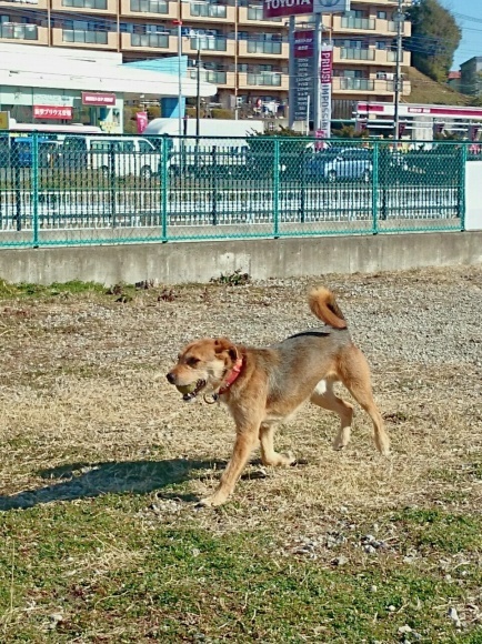 c0345972_18040045.jpg