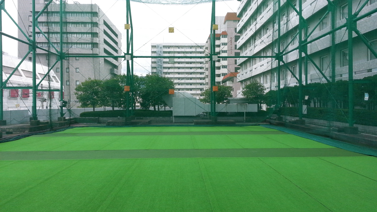 今日も独り占め!_c0160277_15424391.jpg