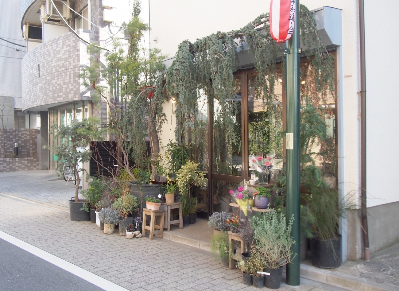 スゴすぎる 西荻の花屋 価格帯から世界観まであれこれ その 多肉基地 Taniku Kichi