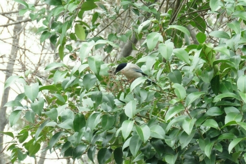 e0357387_07204385.jpg