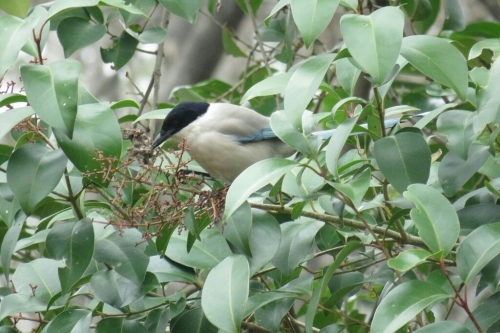 e0357387_07205747.jpg