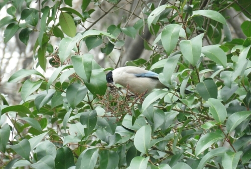 e0357387_07211063.jpg