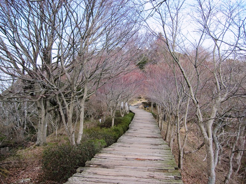 b0150088_93071.jpg