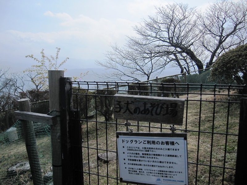 b0150088_94167.jpg