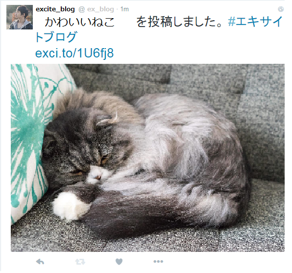 a0029090_17404539.png