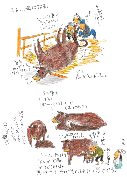 f0236291_931077.gif
