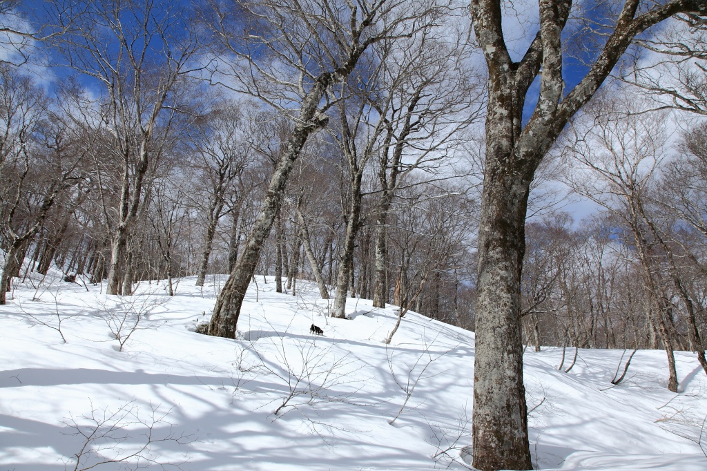 b0050305_2019234.jpg