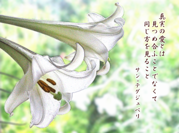 c0345705_07203156.png