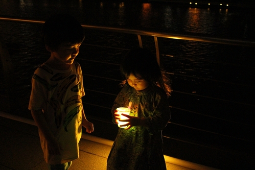 光の祭典　「i Light Marina Bay」　27日まで開催中！_a0233910_4174643.jpg