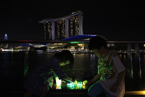 光の祭典　「i Light Marina Bay」　27日まで開催中！_a0233910_422281.jpg