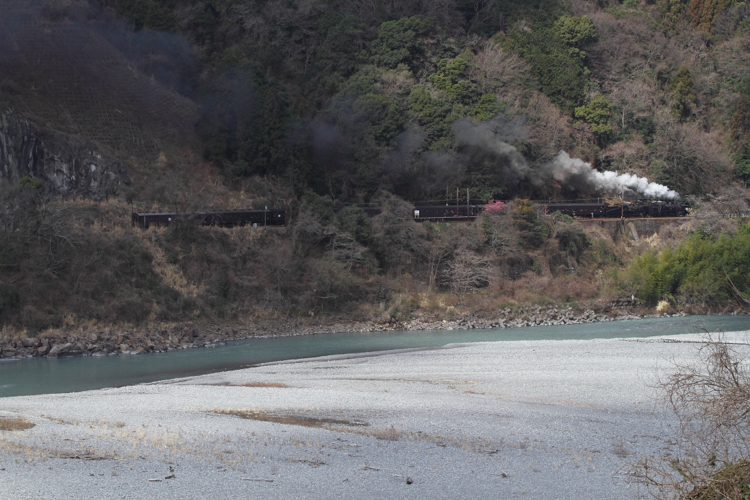 大井川重連  2016_b0190710_21172510.jpg