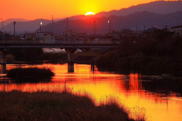 徳島県@吉野川 藍住_c0247313_832217.jpg