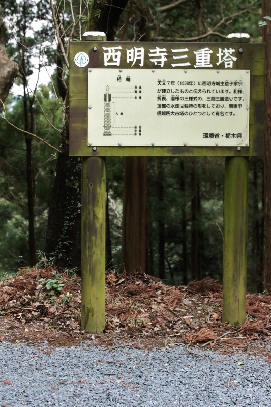 栃木旅_b0220318_11215546.jpg