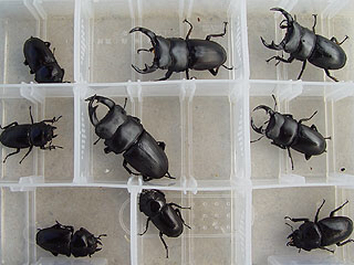 c0346119_09270912.jpg