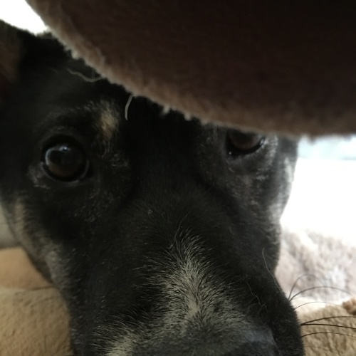 b0207320_12452566.jpeg