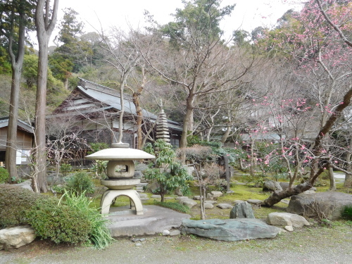 鎌倉　杉本寺、覚園寺_e0345320_23181194.jpg