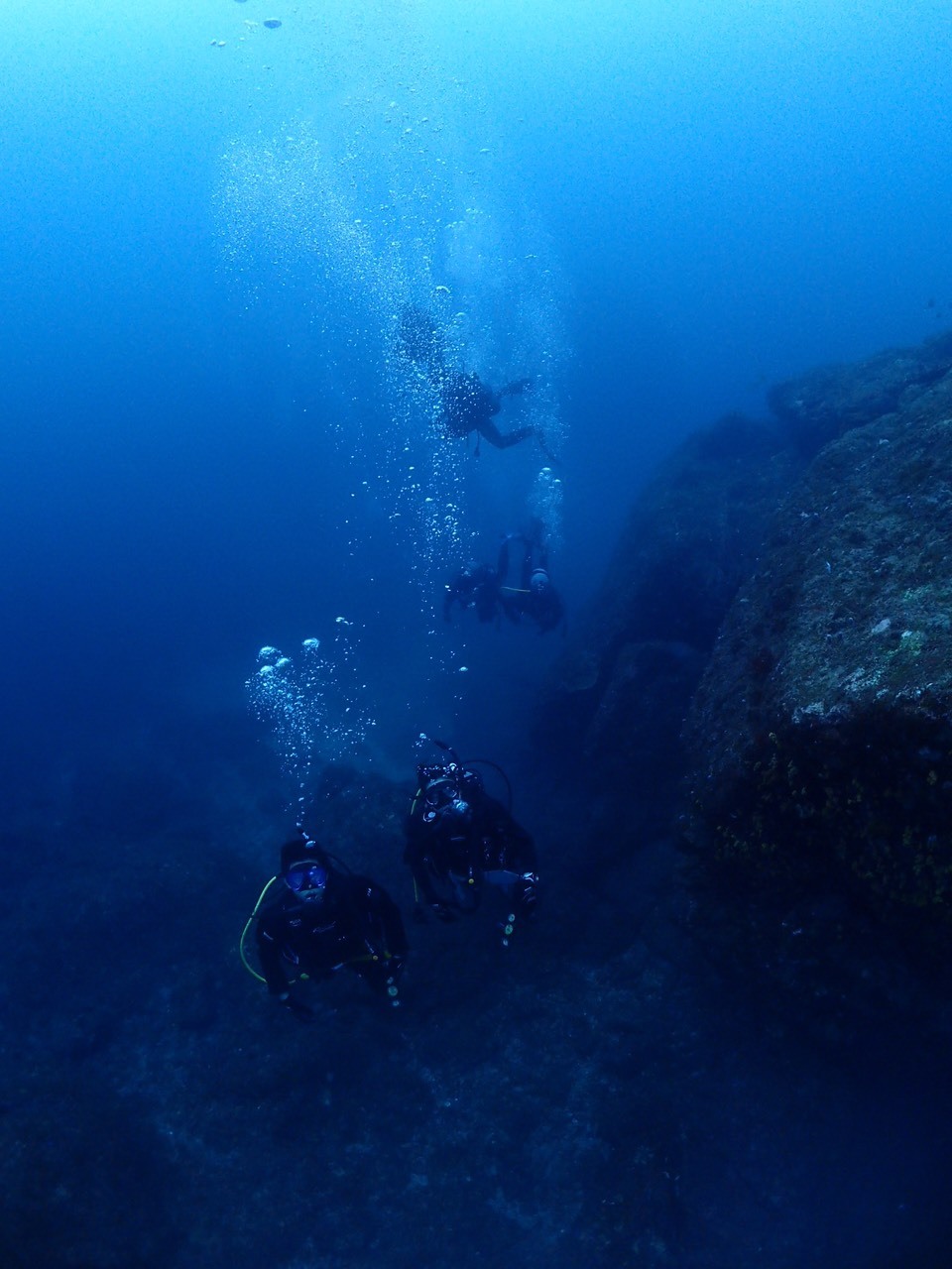 c0115421_20390887.jpg
