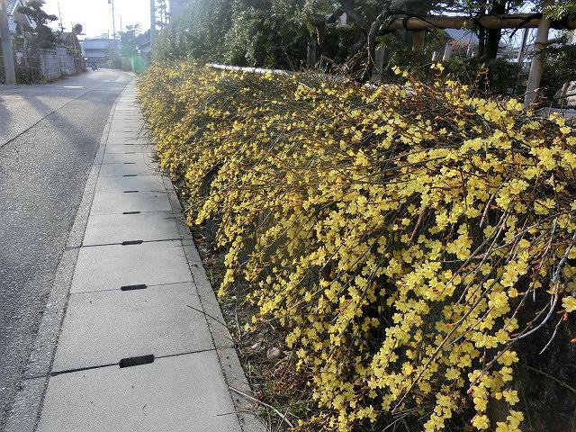 e0234924_17213517.jpg