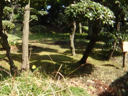 c0353632_11203438.jpg