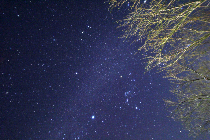 e0083238_23295967.jpg