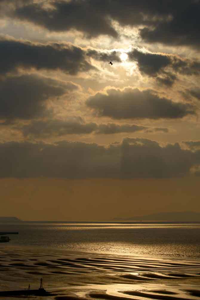 d0238245_01412724.jpg