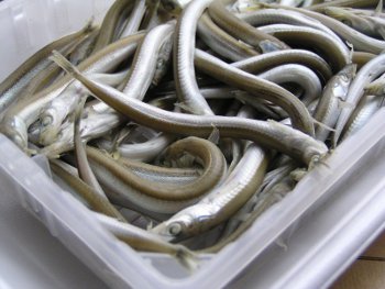 いかなご 釜揚げ の天ぷら うふふなダイドコ Plus