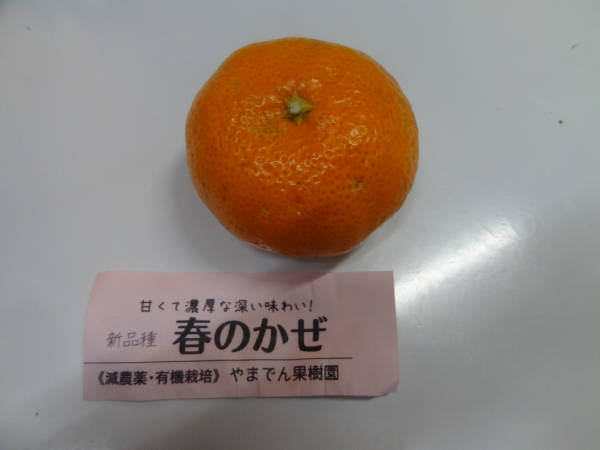 e0033751_1811326.jpg