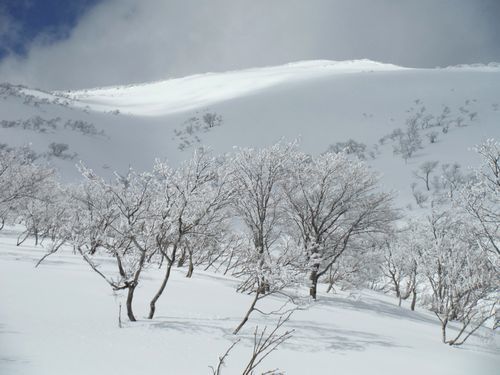c0294658_21293510.jpg