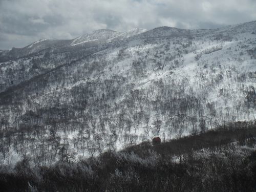 c0294658_21305979.jpg