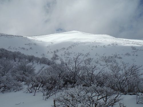 c0294658_21311509.jpg