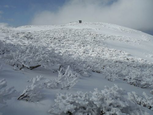 c0294658_22380246.jpg
