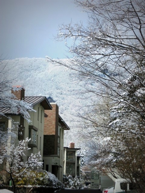 f0236260_1959072.jpg