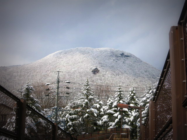 f0236260_1959137.jpg
