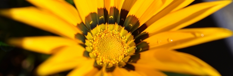 a0016161_14300767.jpg