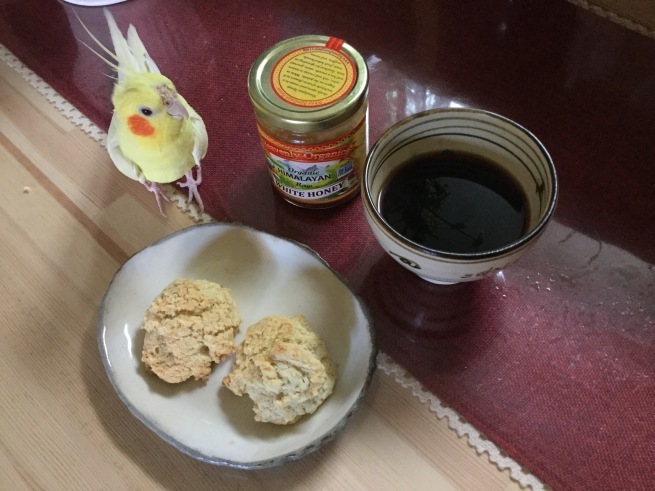 毘沙門天ティティティア(68)寺カフェ 椿_c0348065_21032011.jpeg