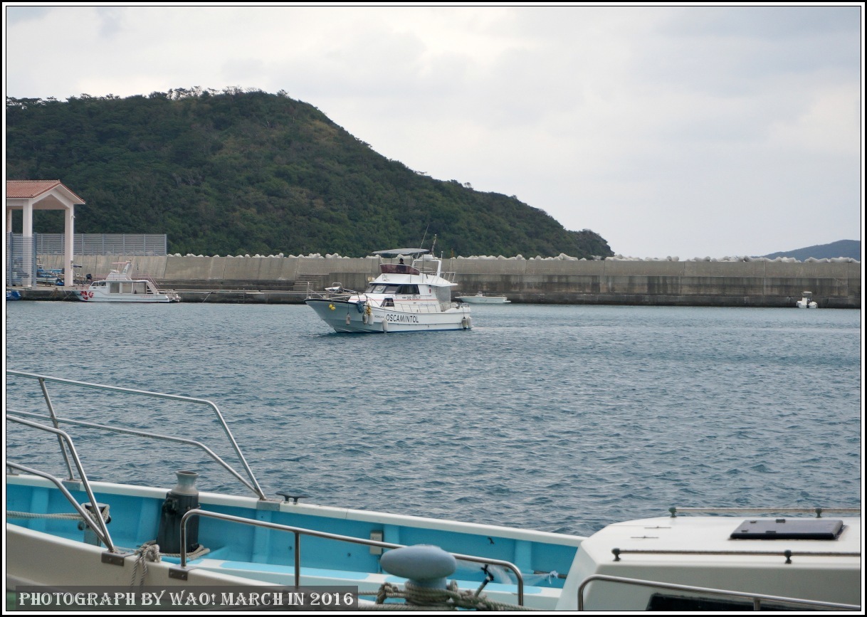 慶良間の島と海　－２_c0198669_22365952.jpg