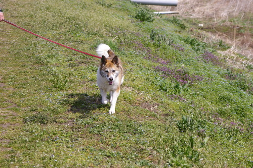 d0353091_10502748.jpg