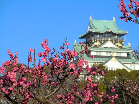 桃花開花　大阪城／桃園_b0176192_1329108.jpg