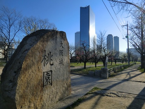 桃花開花　大阪城／桃園_b0176192_13305296.jpg