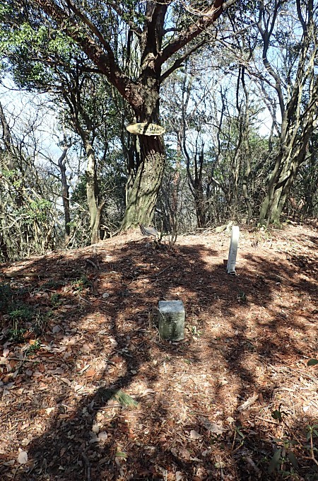 大山（県道終点）～鵜峠～トンネル_a0339396_22171551.jpg