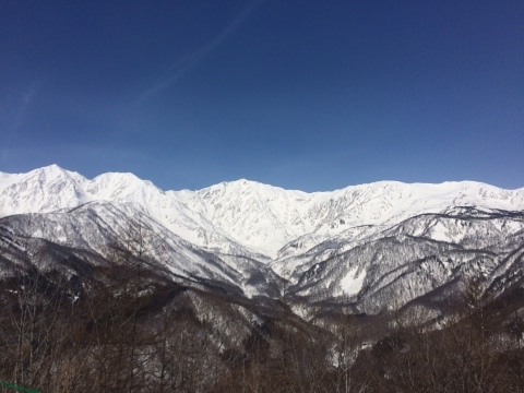 c0319105_11452297.jpeg
