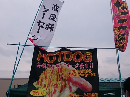 2016JリーグDivision3第1節 SC相模原 - FC東京U-23_b0042308_22241313.jpg