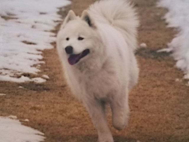 2月13日のお友達_d0148408_13331770.jpg