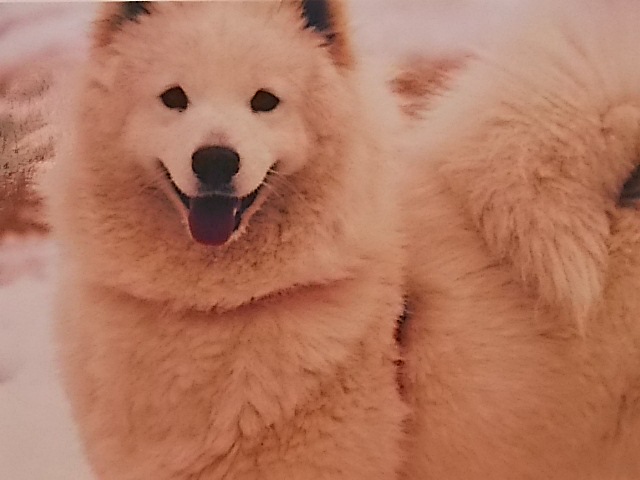 2月13日のお友達_d0148408_13331786.jpg