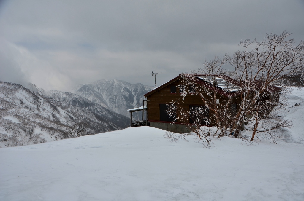 a0340812_917859.jpg