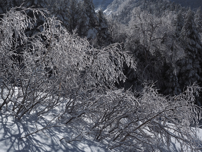 c0110112_2348178.jpg