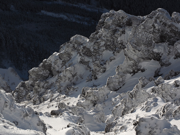 c0110112_23541176.jpg