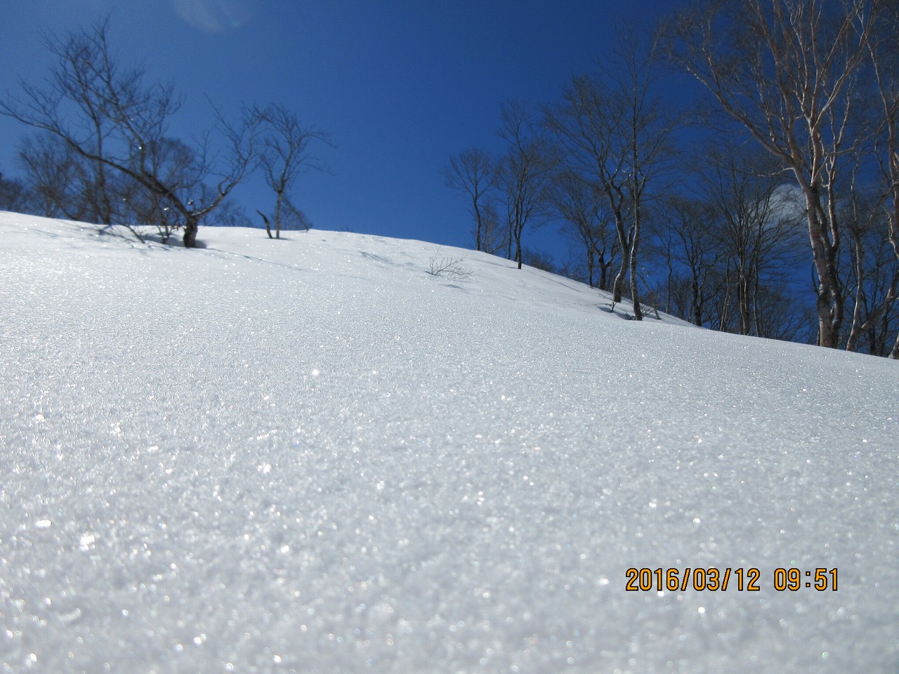 e0171018_22492179.jpg