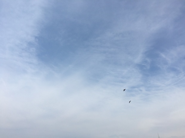 e0172219_21121325.jpeg
