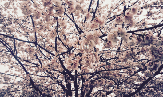 f0293522_01503819.jpeg